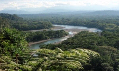 River running through the amazon basin